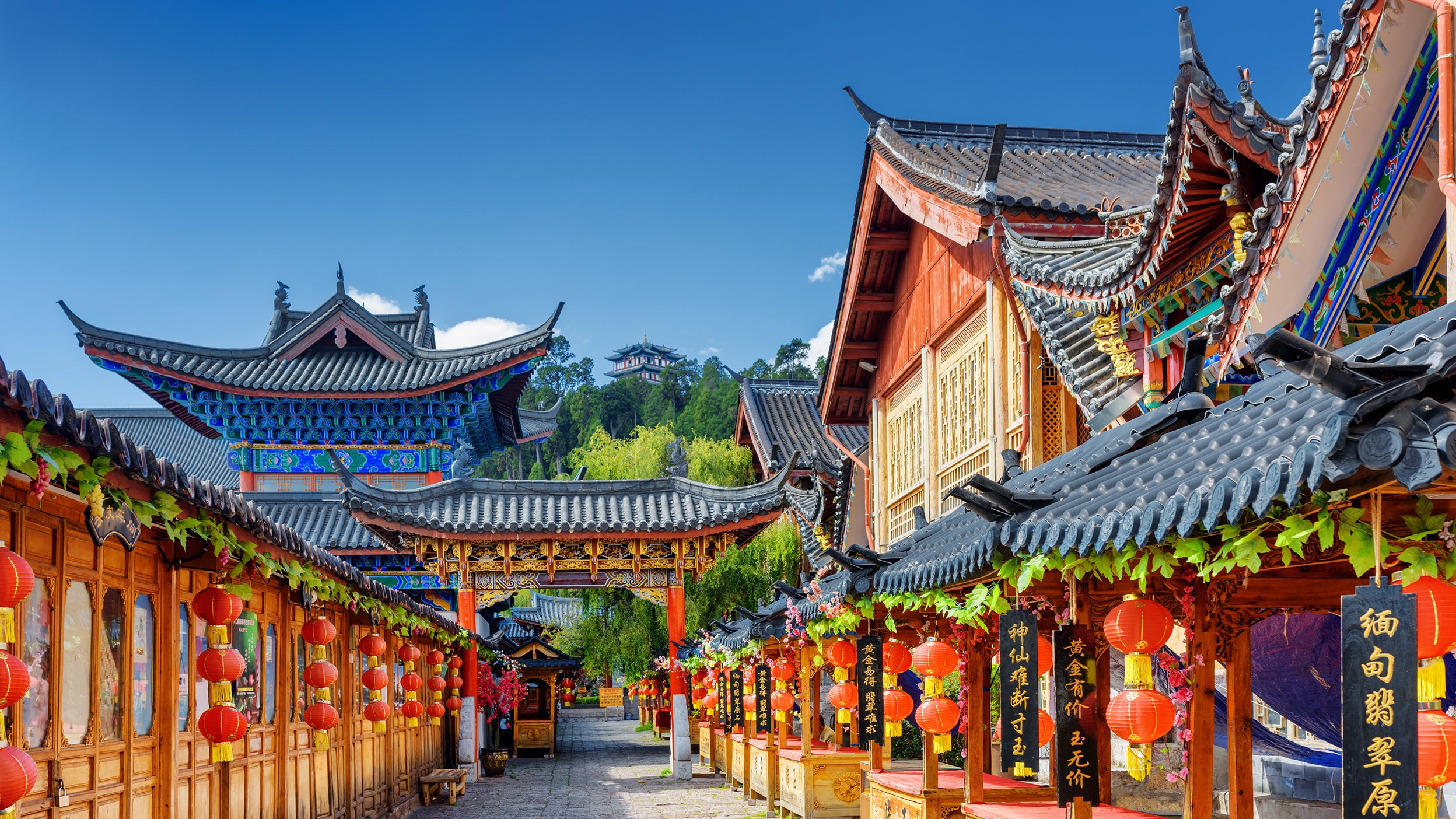 China Mid-Year outlook – Position for a sustained rebound