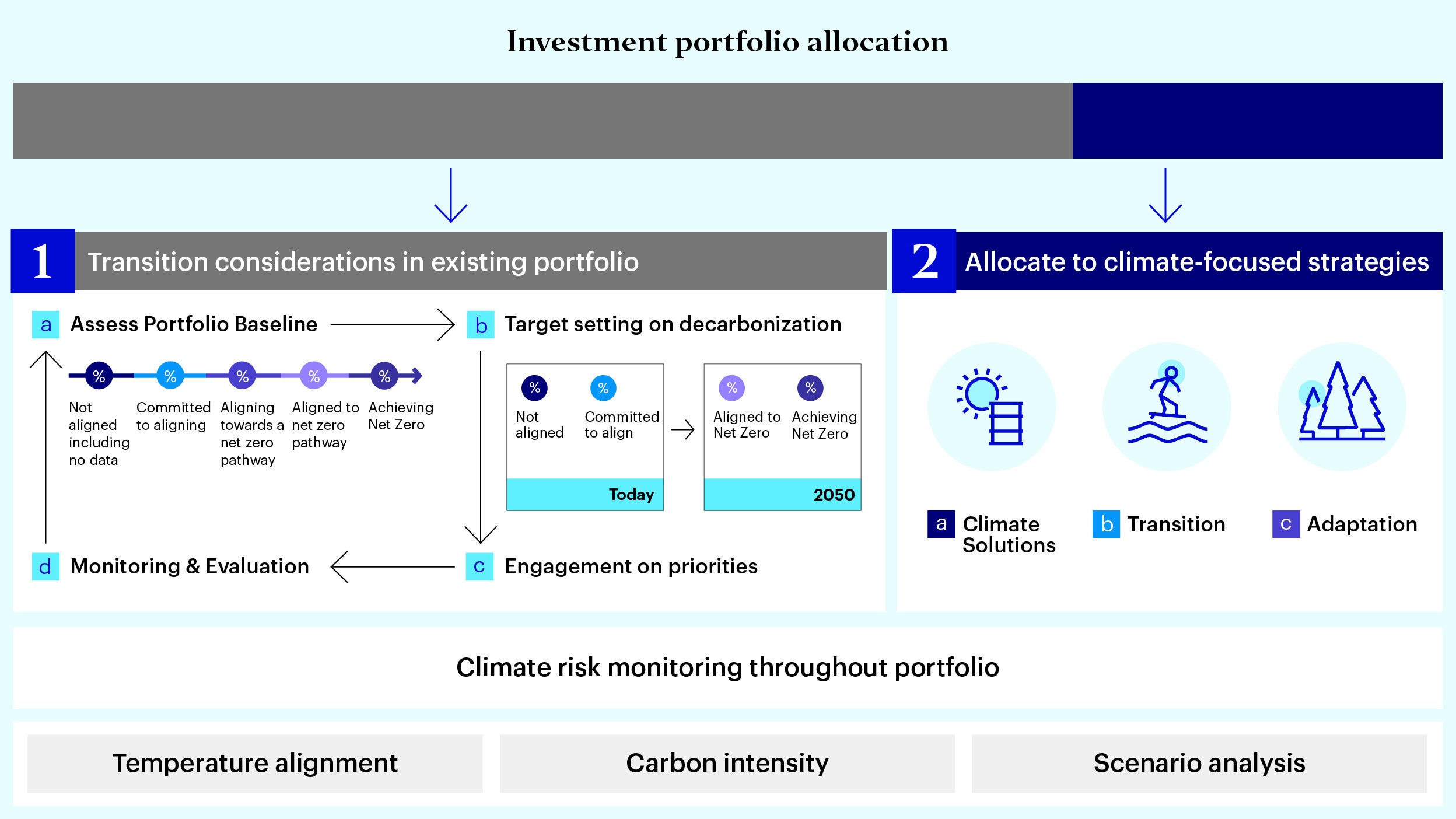 Figure 2 - Transition investing toolkit: Investors can consider interim strategies alongside longer-term transition considerations for whole portfolio 