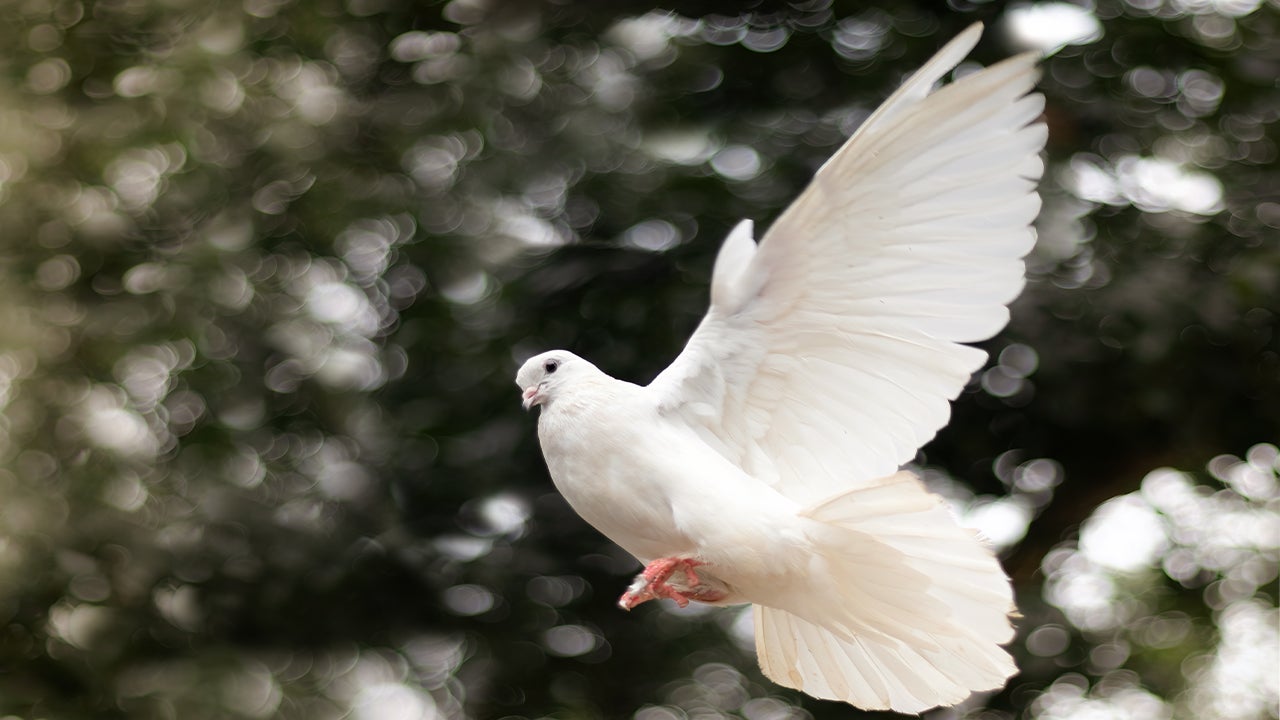 When doves yell: Fed loudly signals a September rate cut 