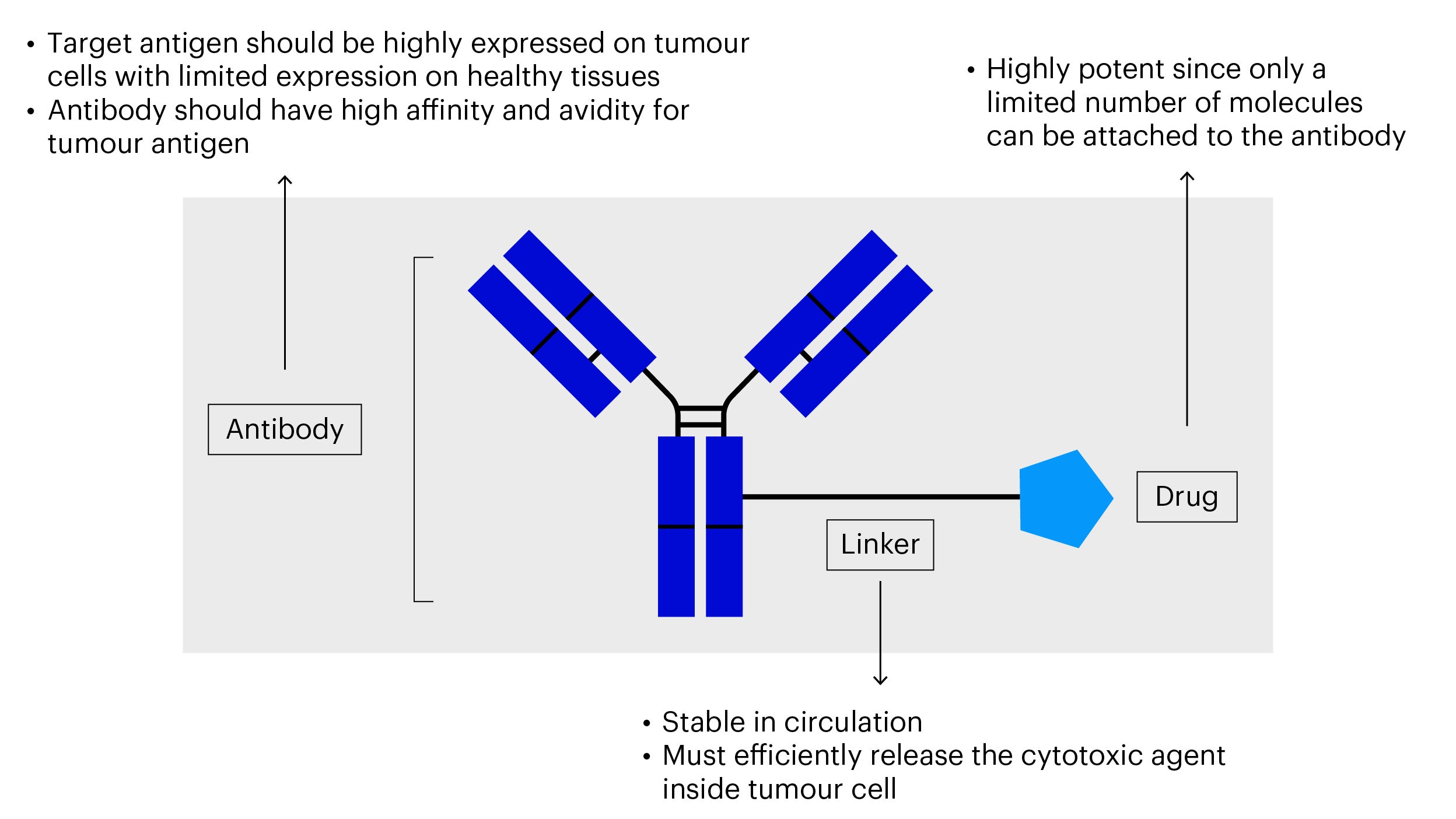 Figure 1 – ADC structure and mechanism