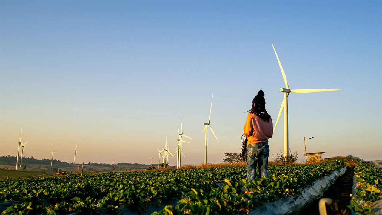Emerging markets are critical for the green energy transition
