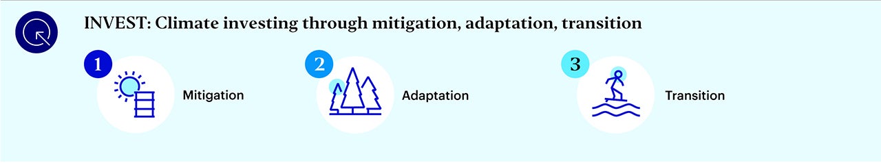 Investment opportunities in climate mitigation, adaptation, and transition