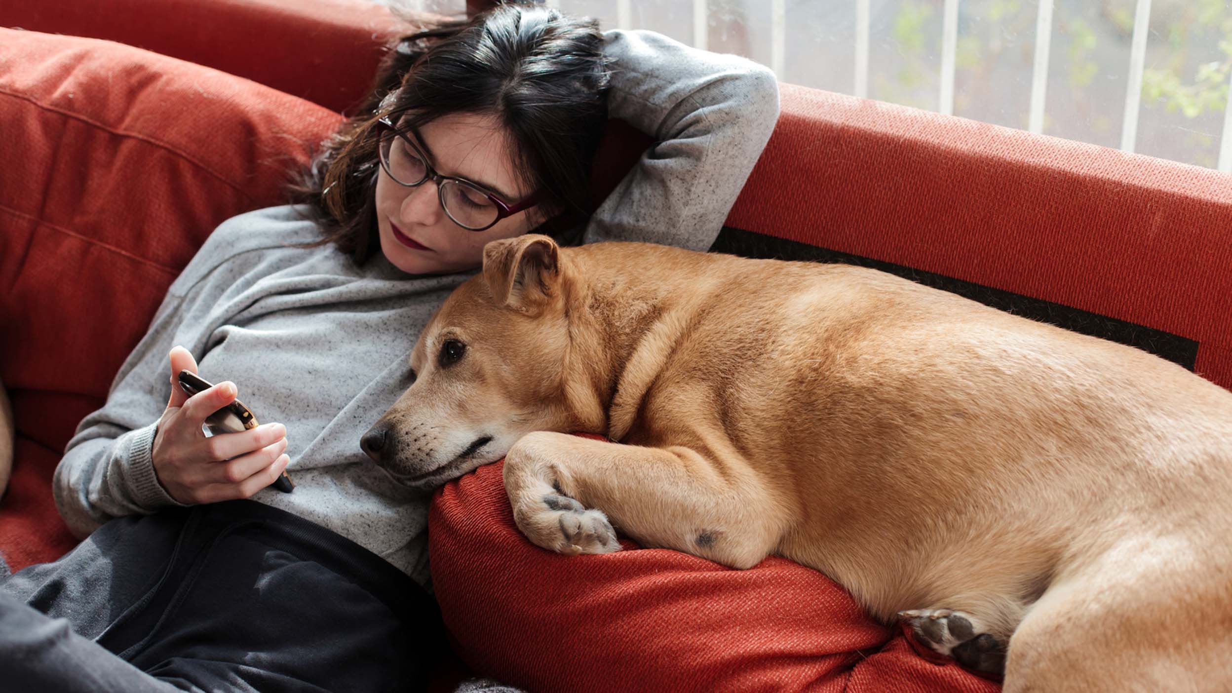 woman with her dog sitting on a couch