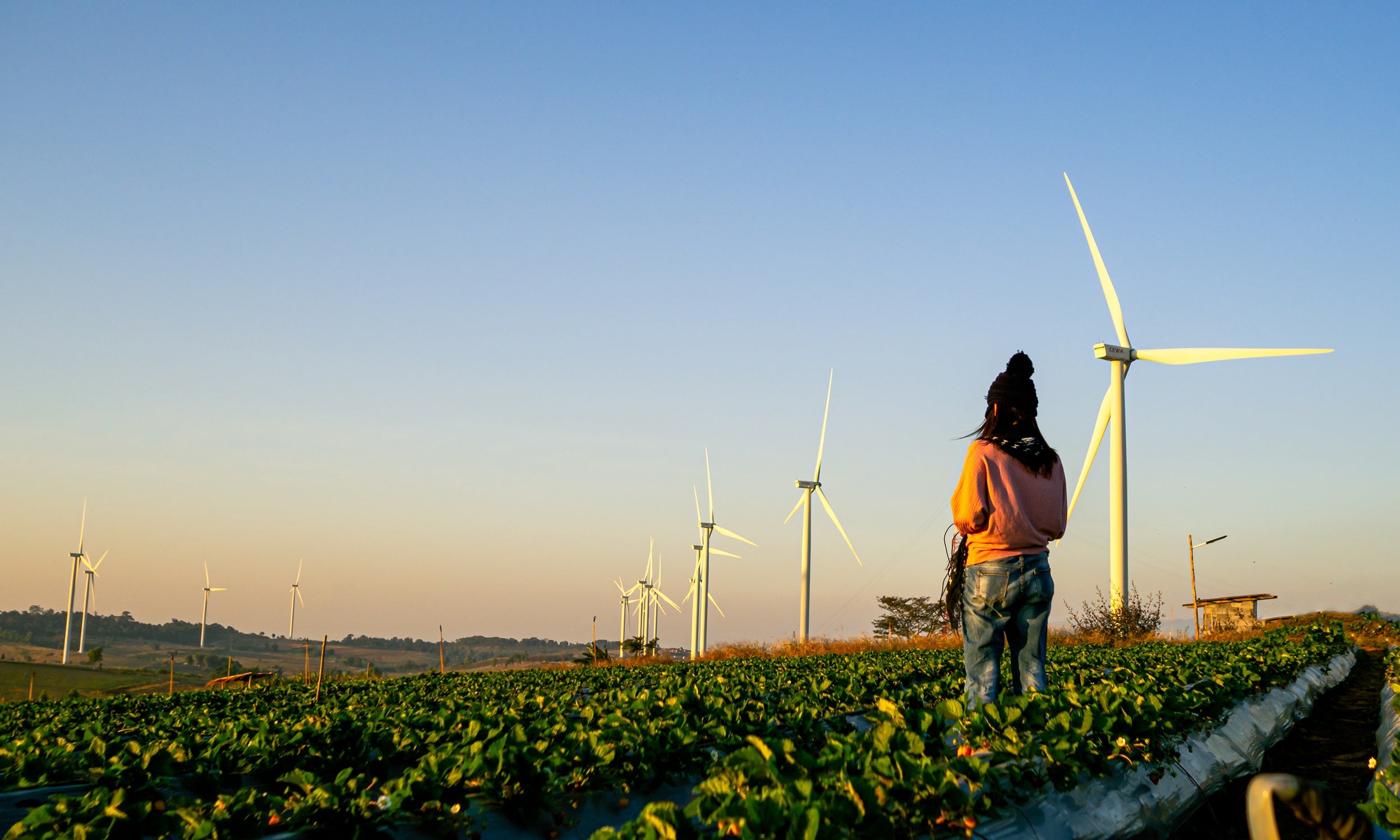 Woman looking at wind turbines