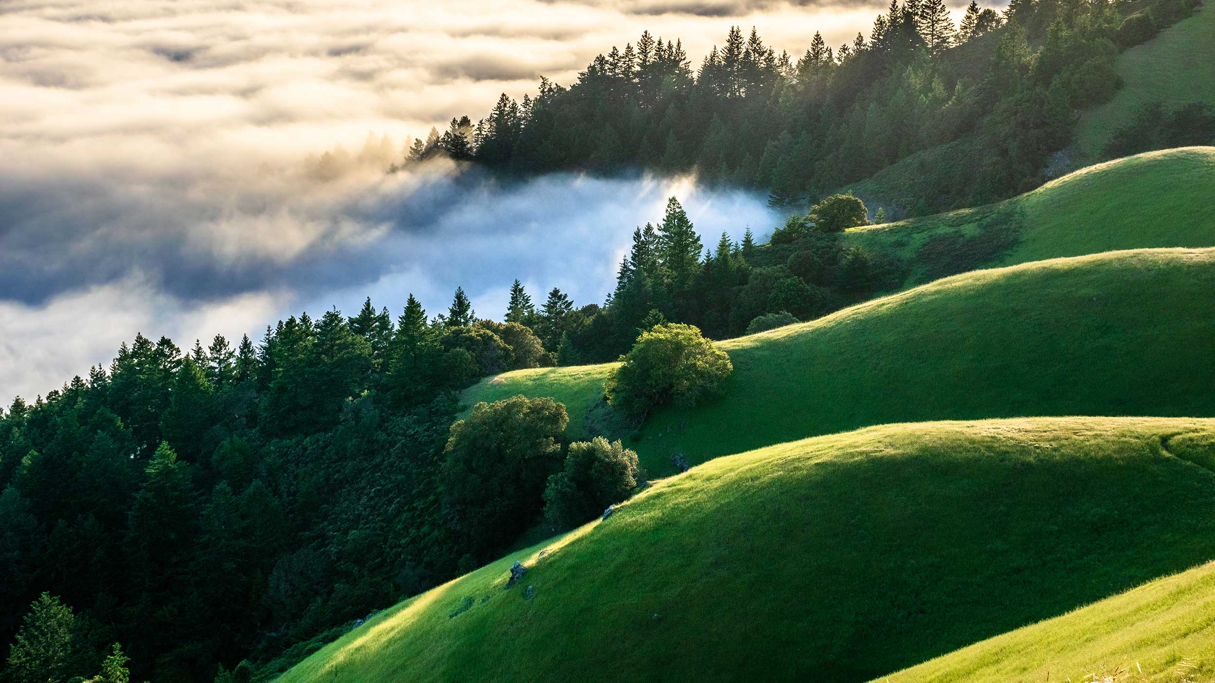 Green hills at sunset