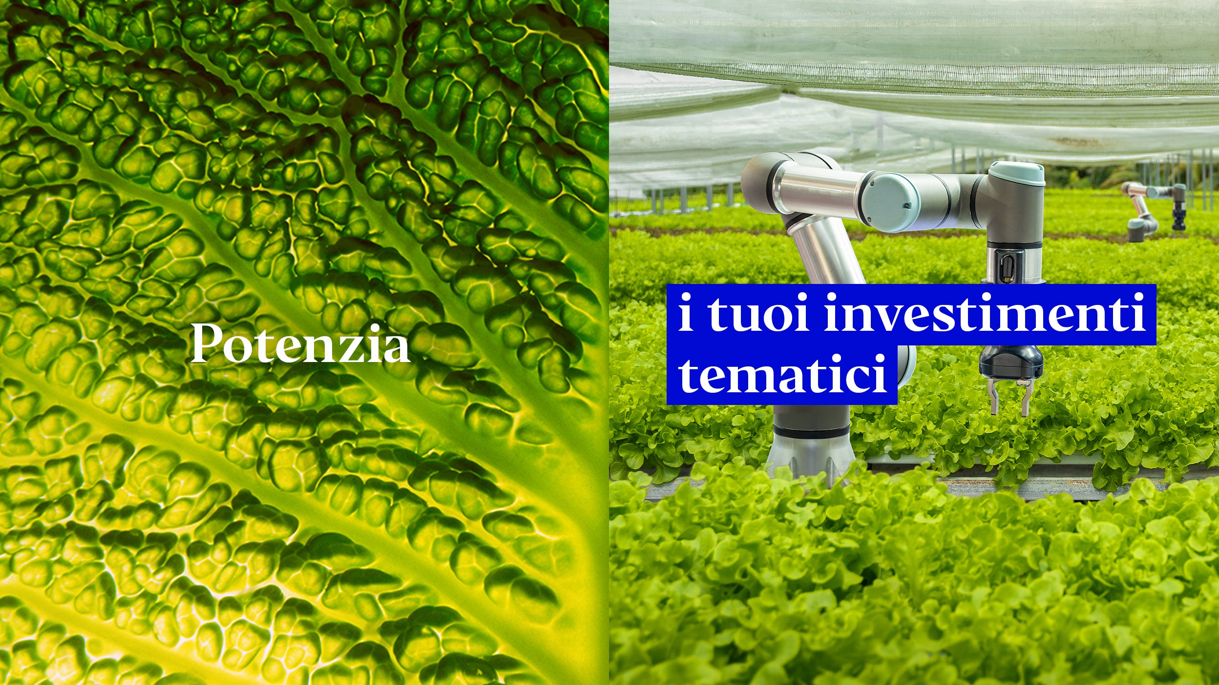 Asset management Italia | Gestione Patrimoniale | Invesco Italia