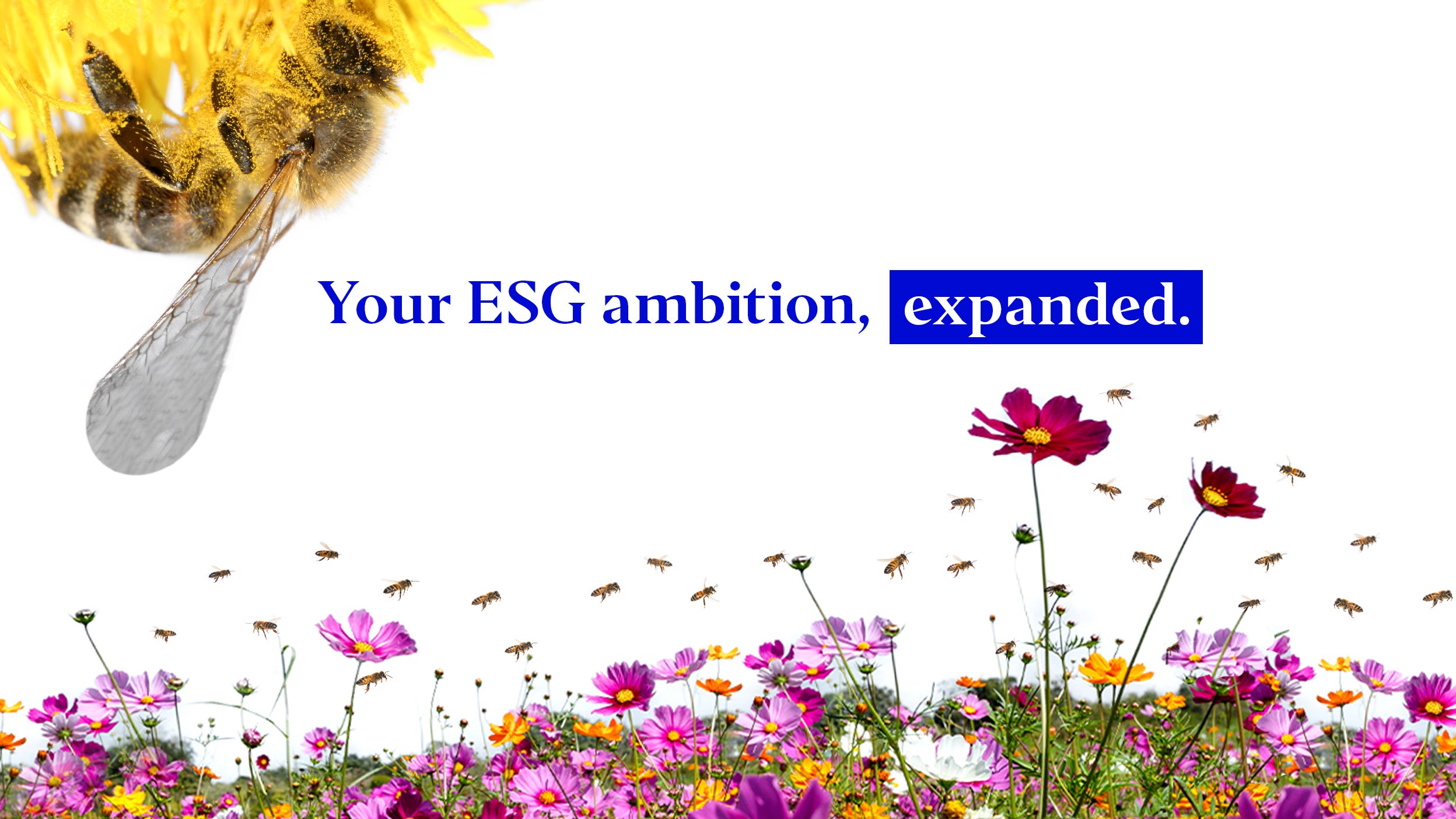 ESG ETFs | Explore our sustainable ETFs