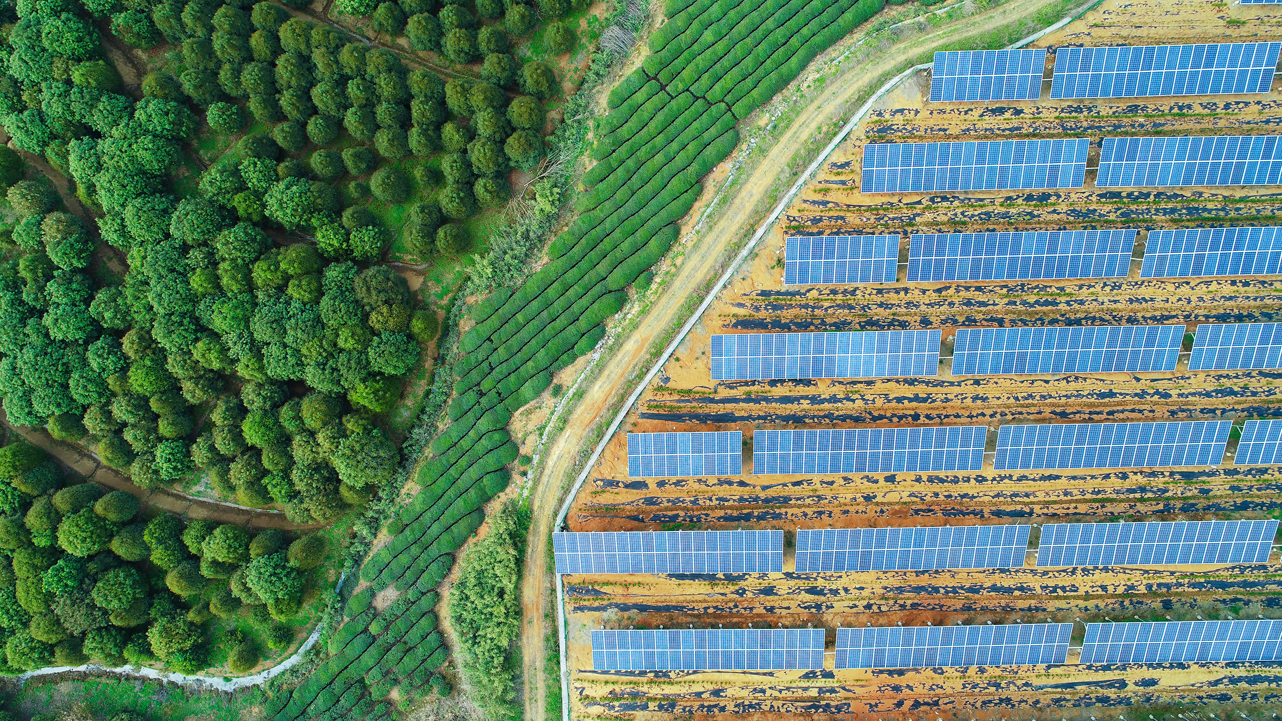 Solar farm, solar panels aerial view