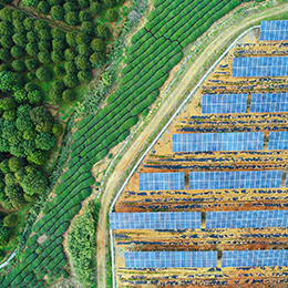 Solar%20farm,%20solar%20panels%20aerial%20view