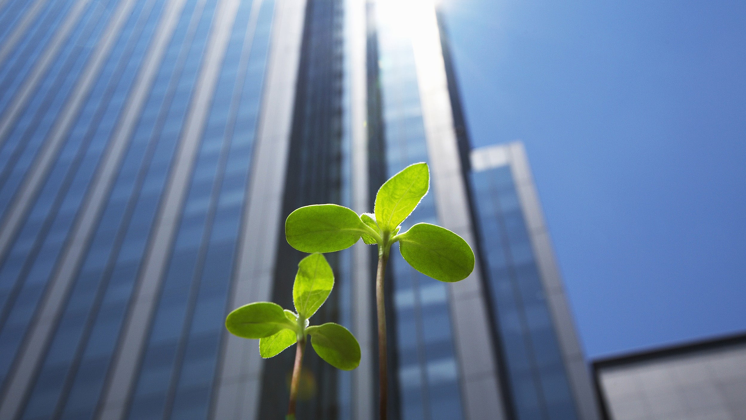 How one extra letter makes ESG different at Invesco Real Estate