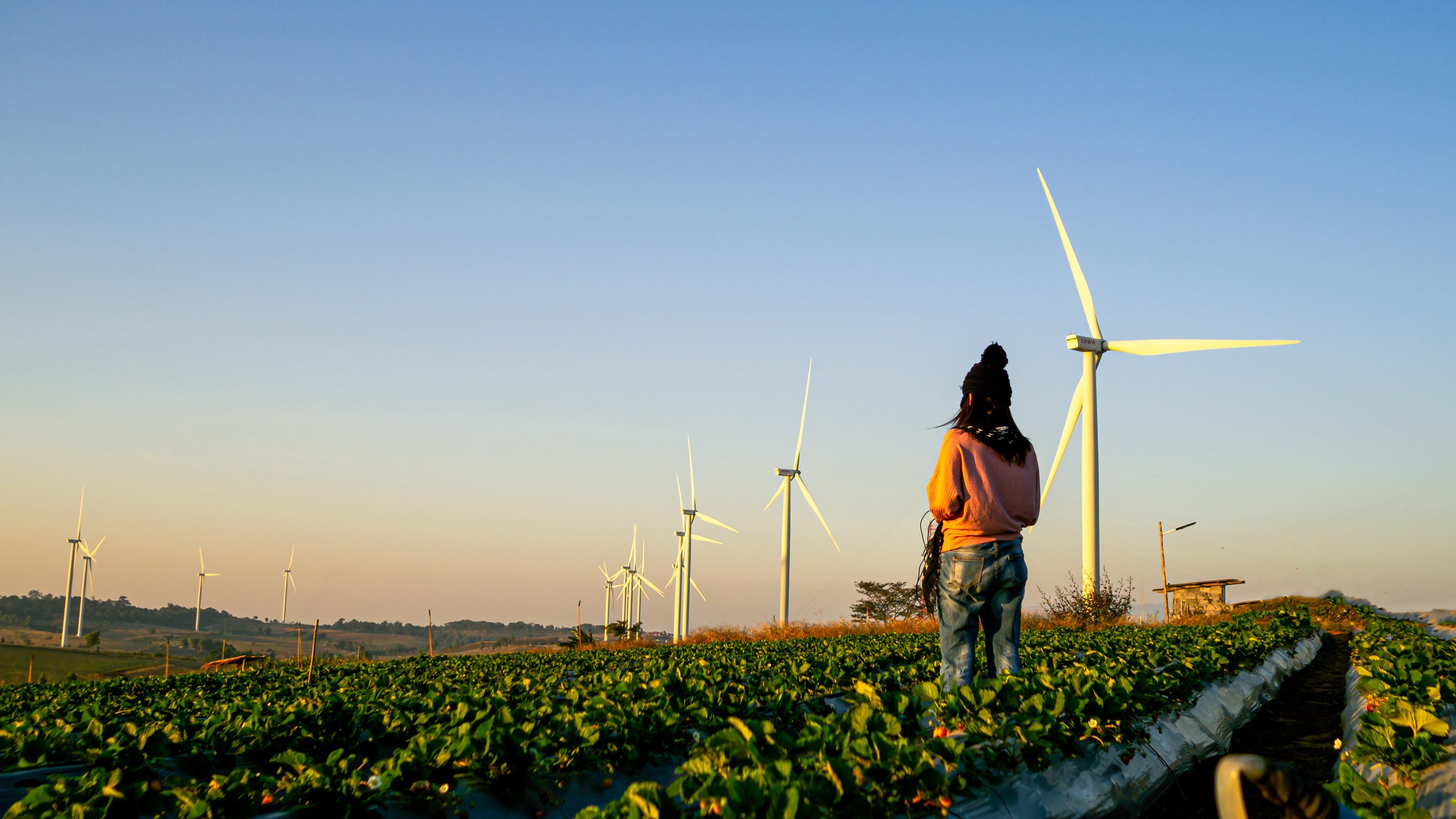 A woman standing on a field with wind turbines in the background