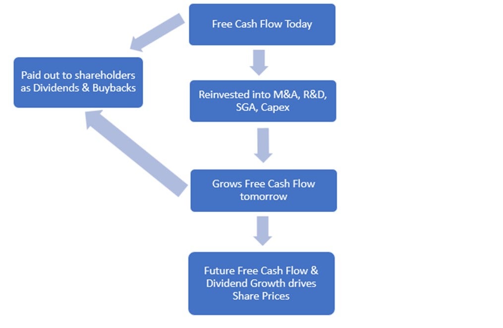 How Free Cash flow can drive share prices 