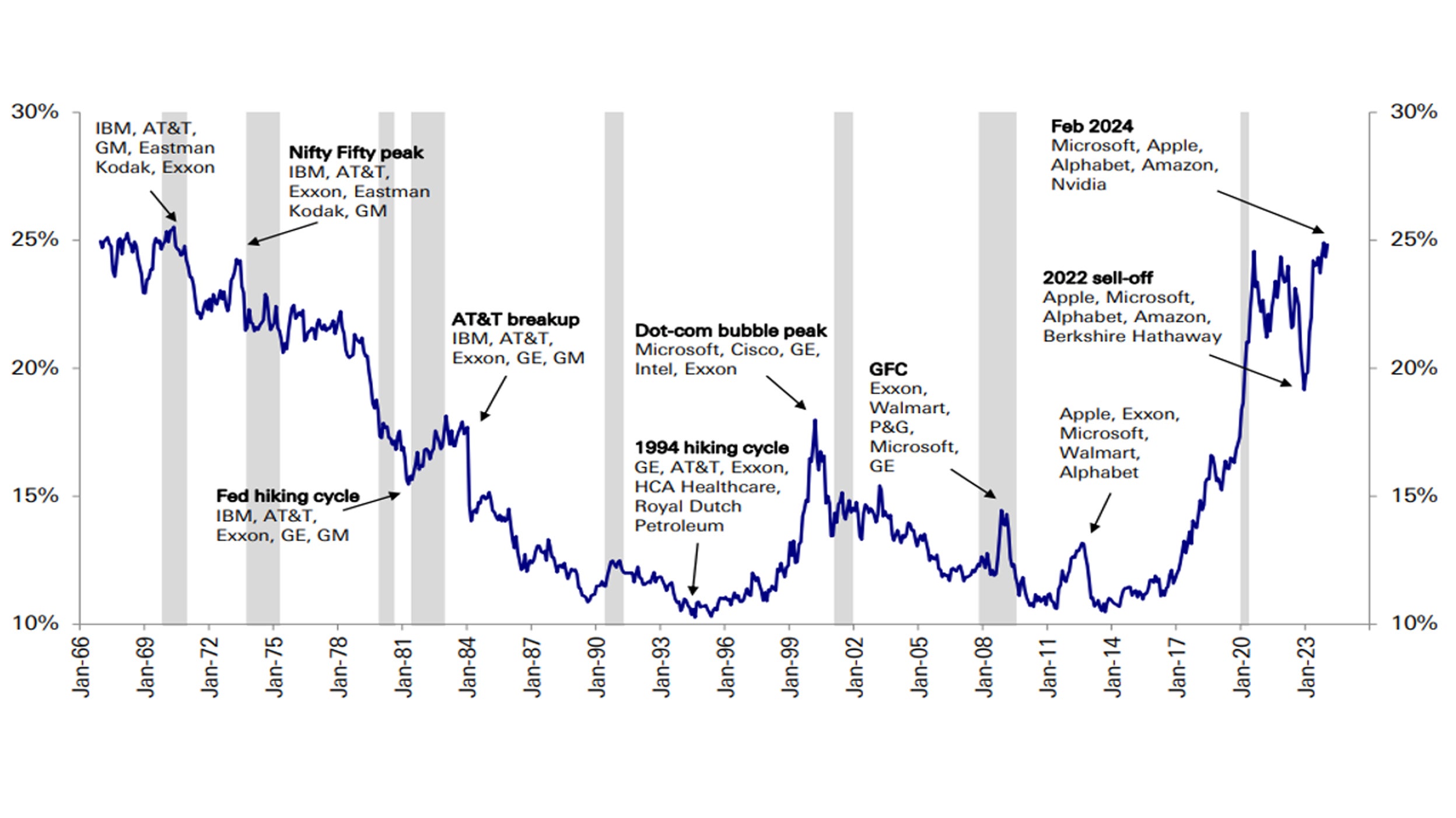 Share of Top 5 companies by market cap in S&P 500