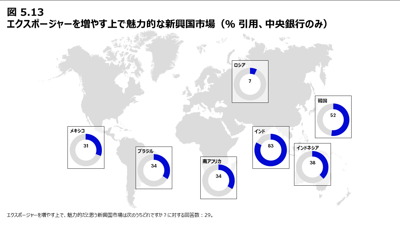 図5.13 エクスポージャーを増やす上で魅力的な新興国市場（％ 引用、中央銀行のみ）