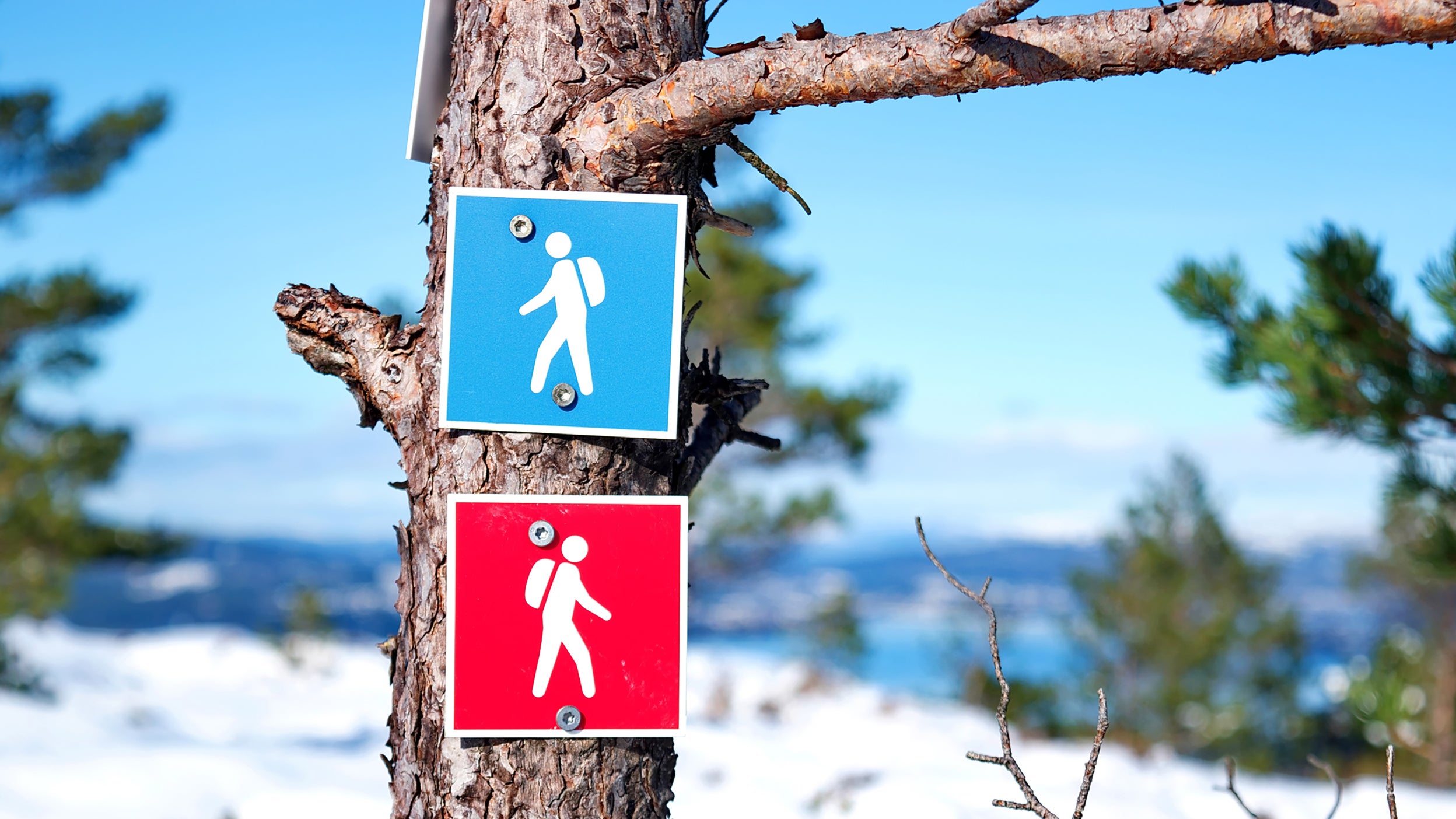 Two hiking trail signs posted to a tree, pointing in opposite directions