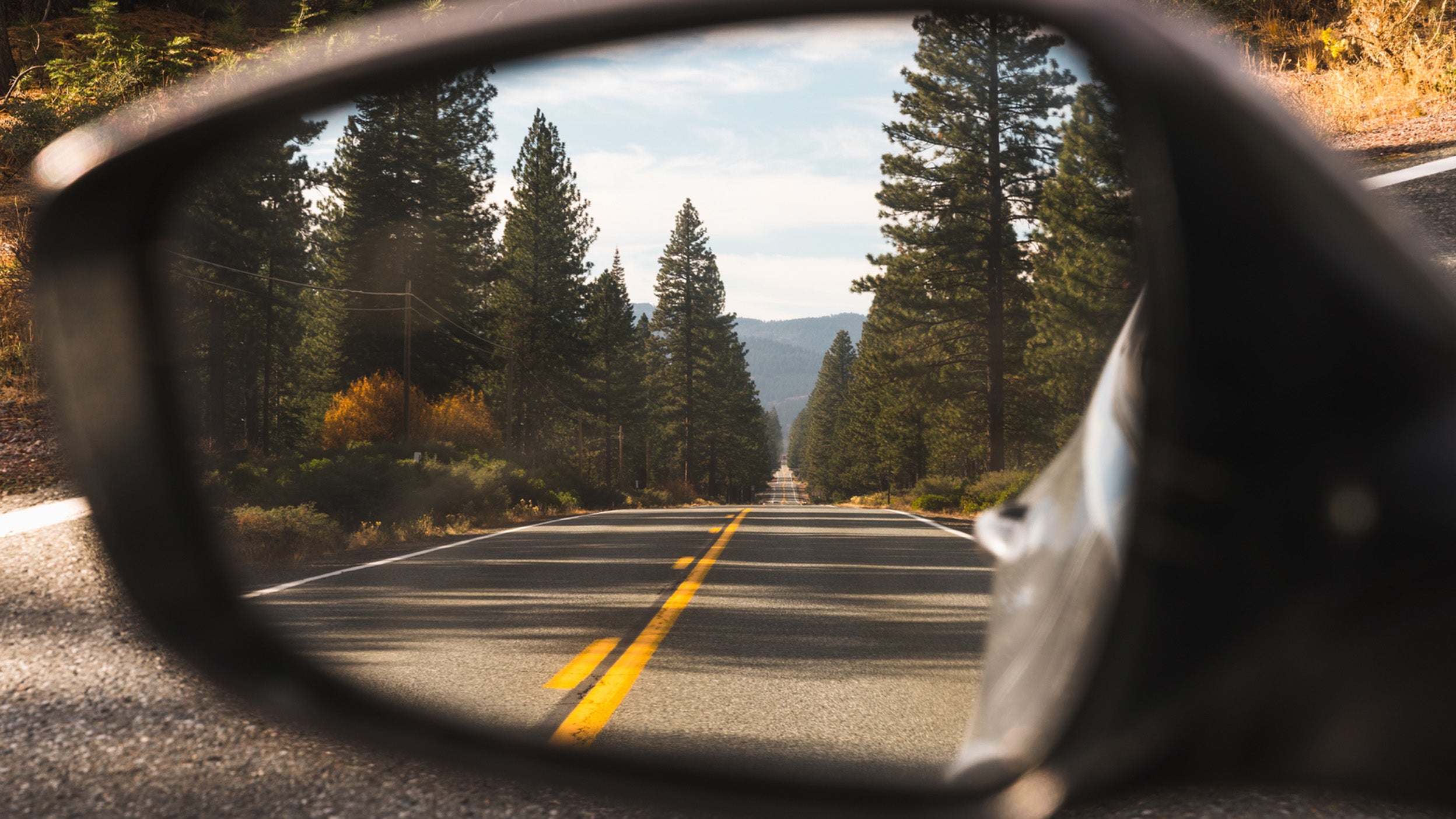 rétroviseur de voiture et route panoramique