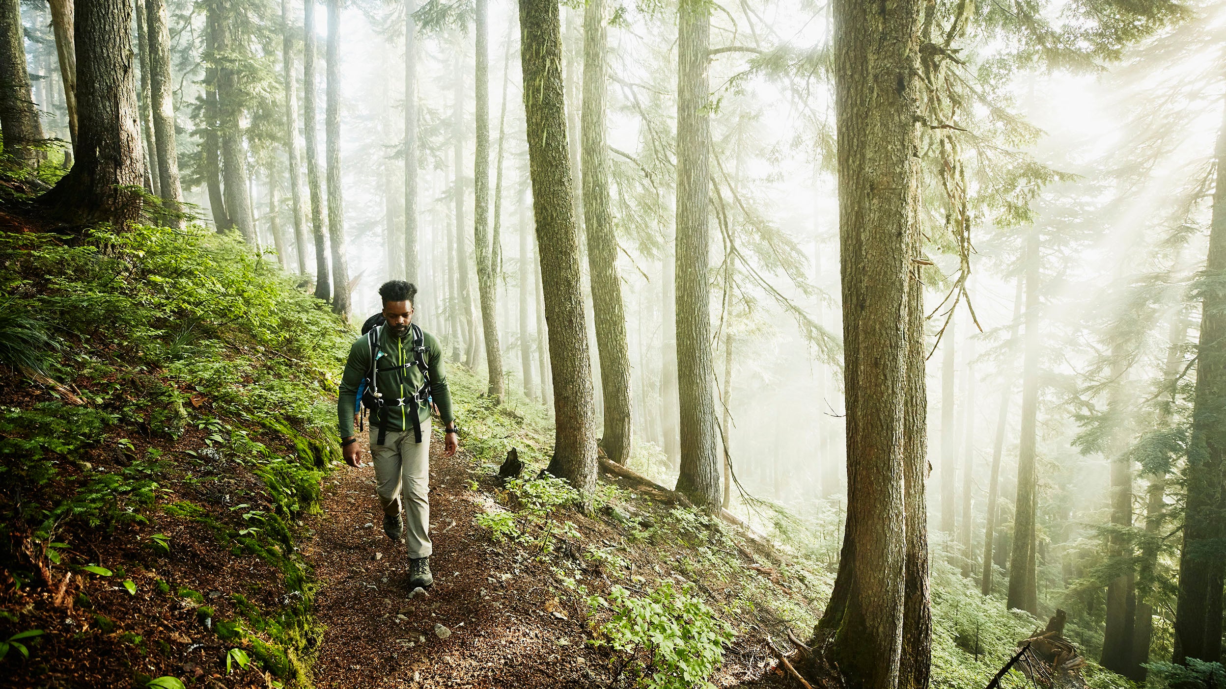 A man walks on a path through the forest.