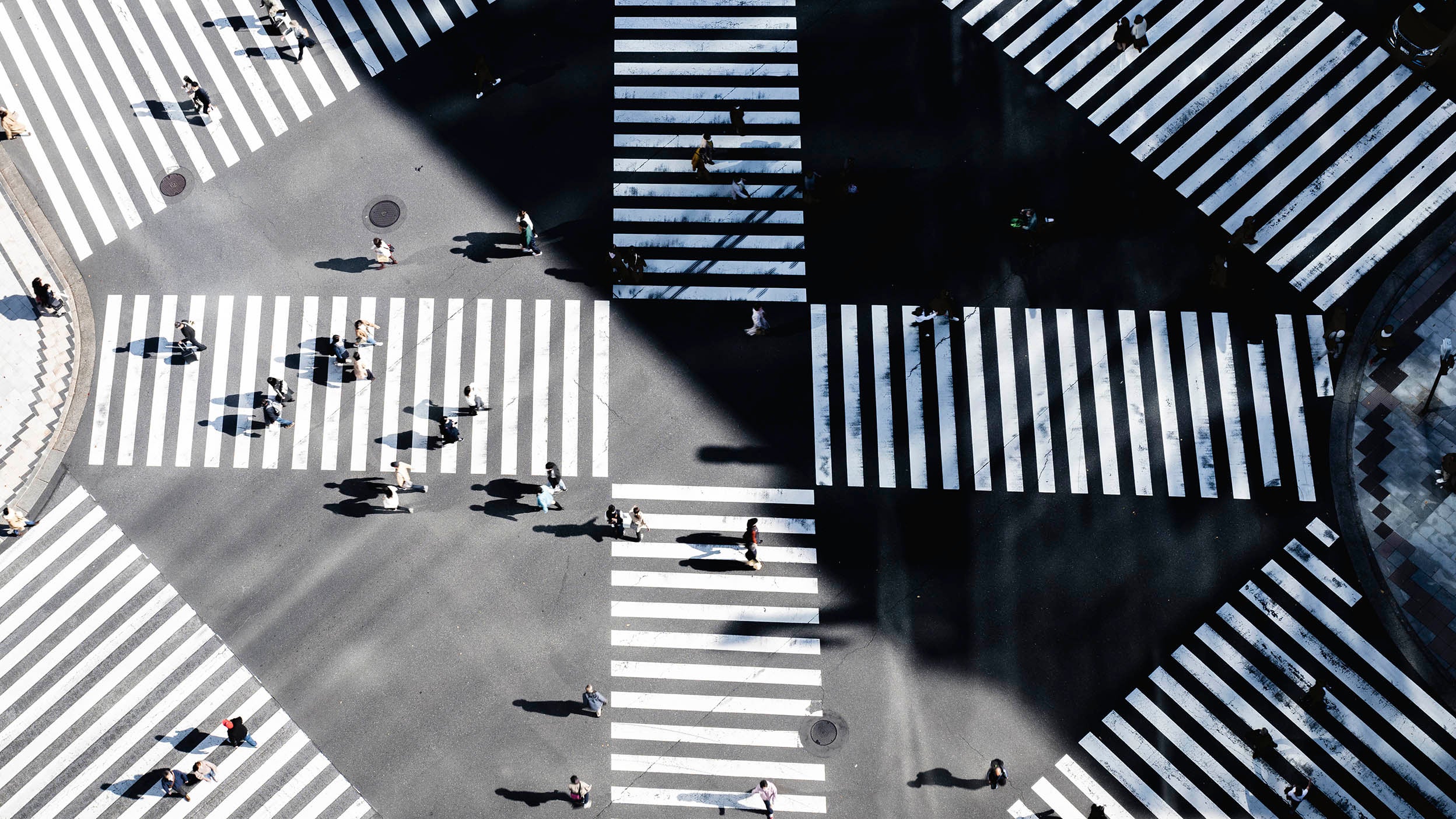 Pedestrians walking along zebra crossing