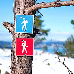 Two%20hiking%20trail%20signs%20posted%20to%20a%20tree,%20pointing%20in%20opposite%20directions