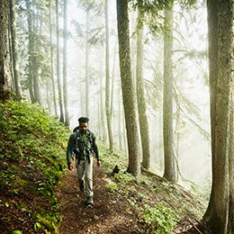 A%20man%20walks%20on%20a%20path%20through%20the%20forest.