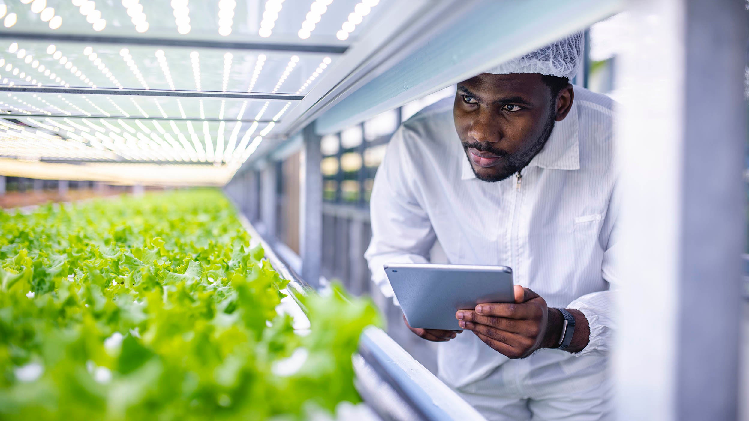 A man checks on plants growing in a greenhouse, marking their progress on a clipboard. Invesco QQQ ETF is helping grow and shape the future of the food industry. 