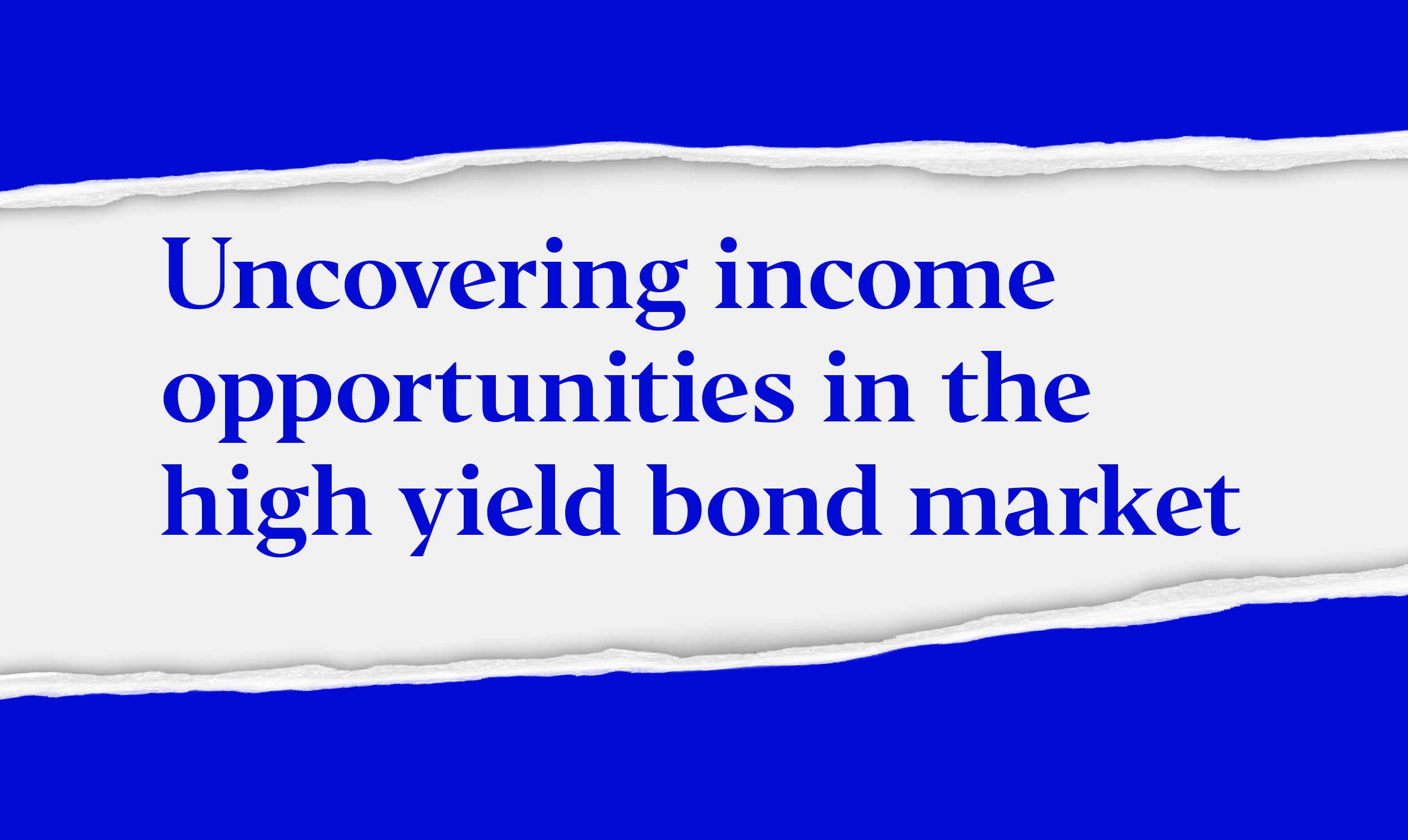 Invesco Bond Income Plus Limited