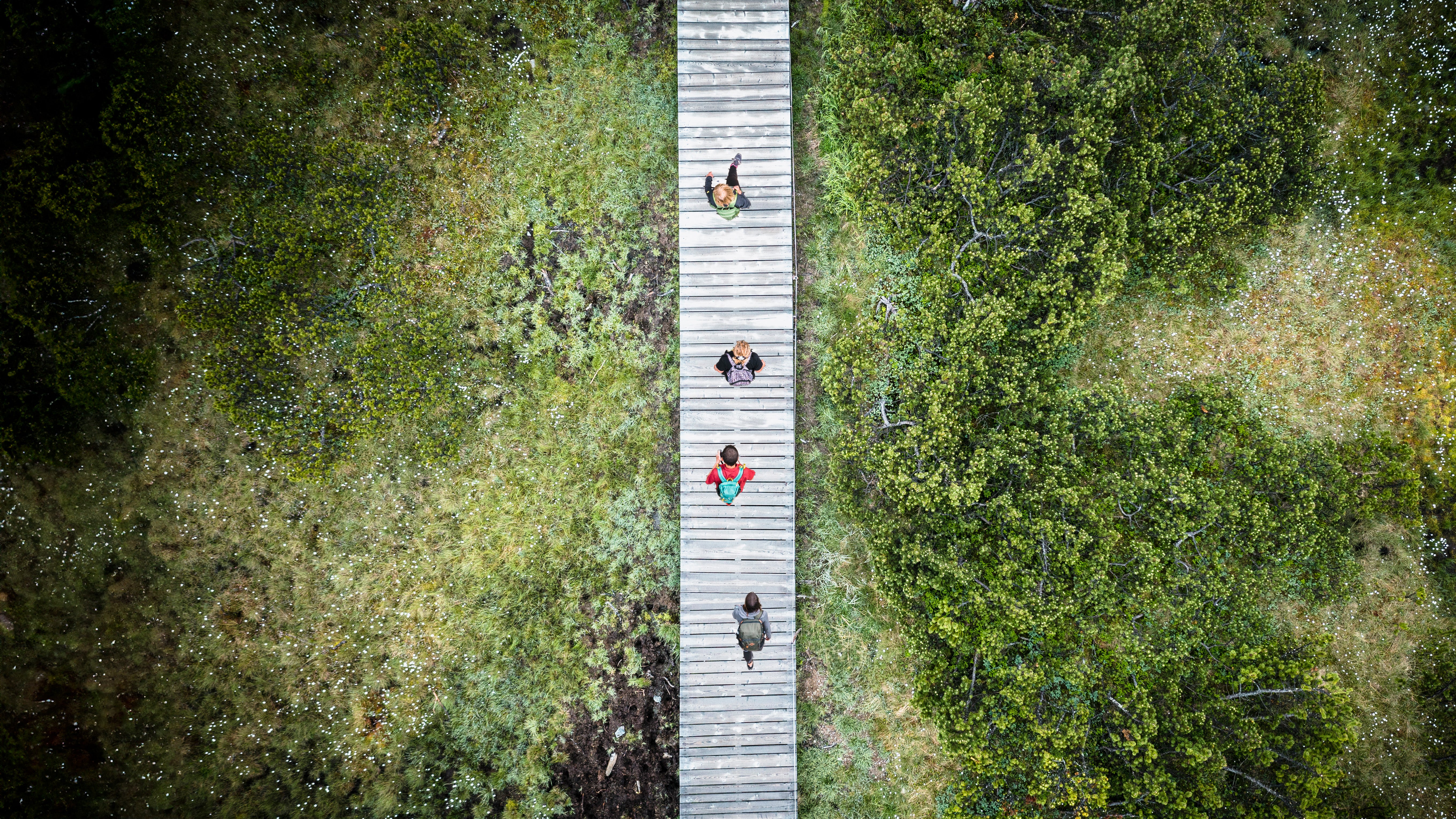 Aerial view of people walking on a bridge