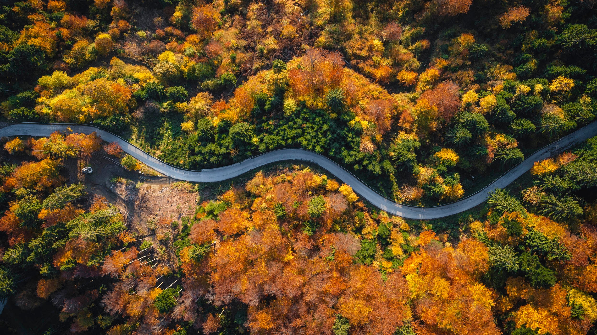 Overhead view of a road in a forest in autumn