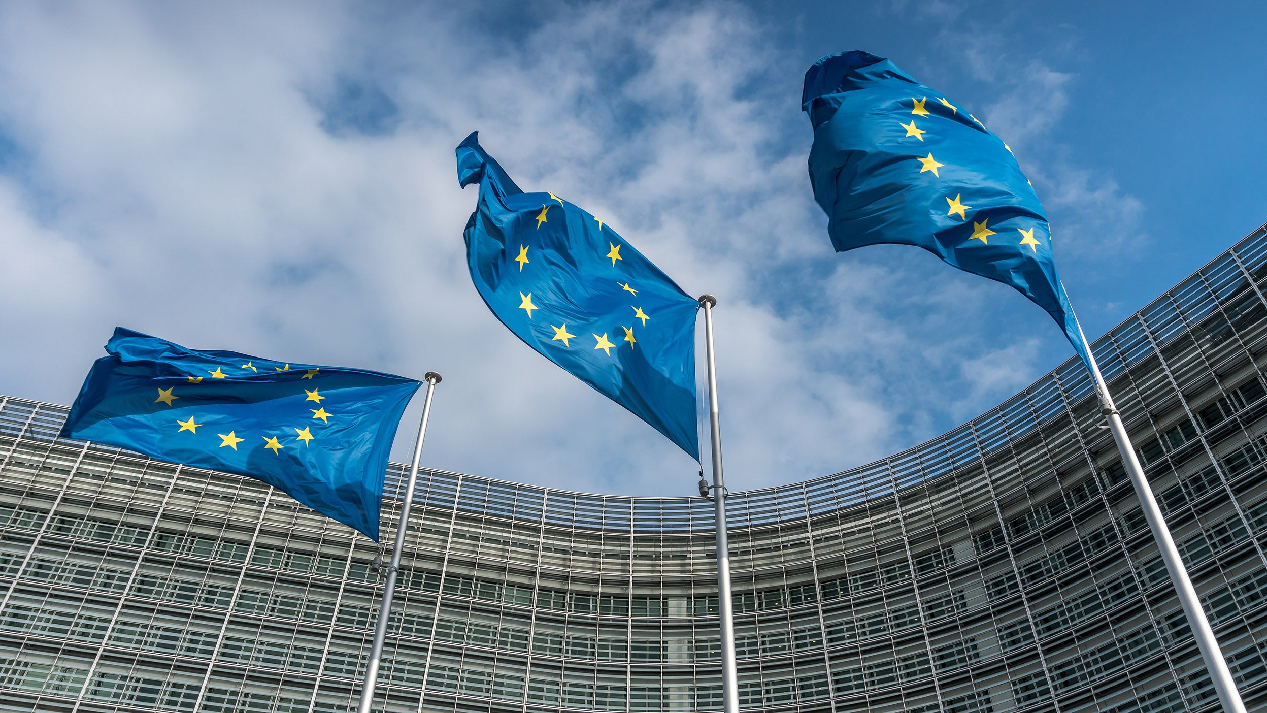 European flags flying in the EU