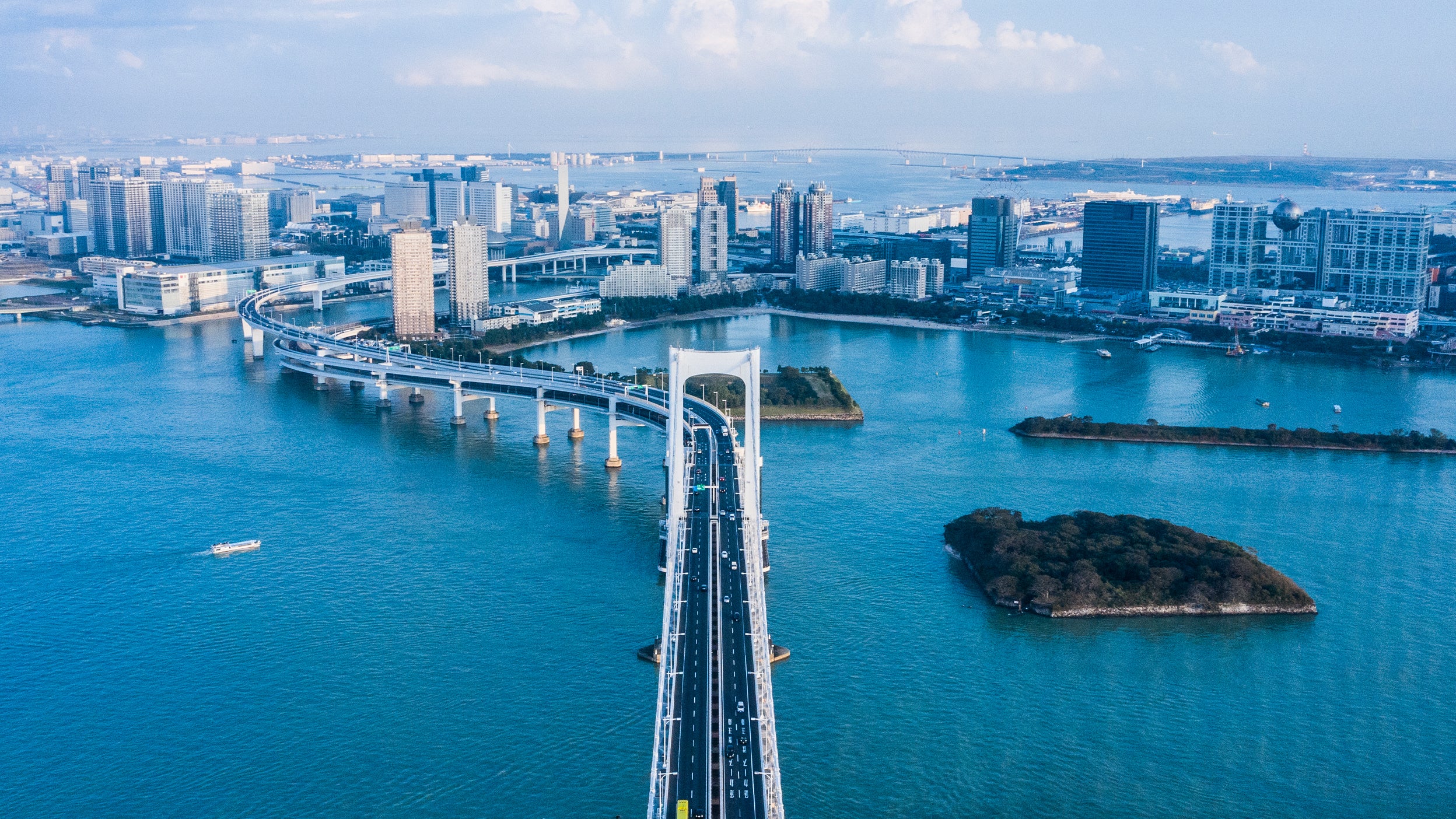 bridge and city skyline