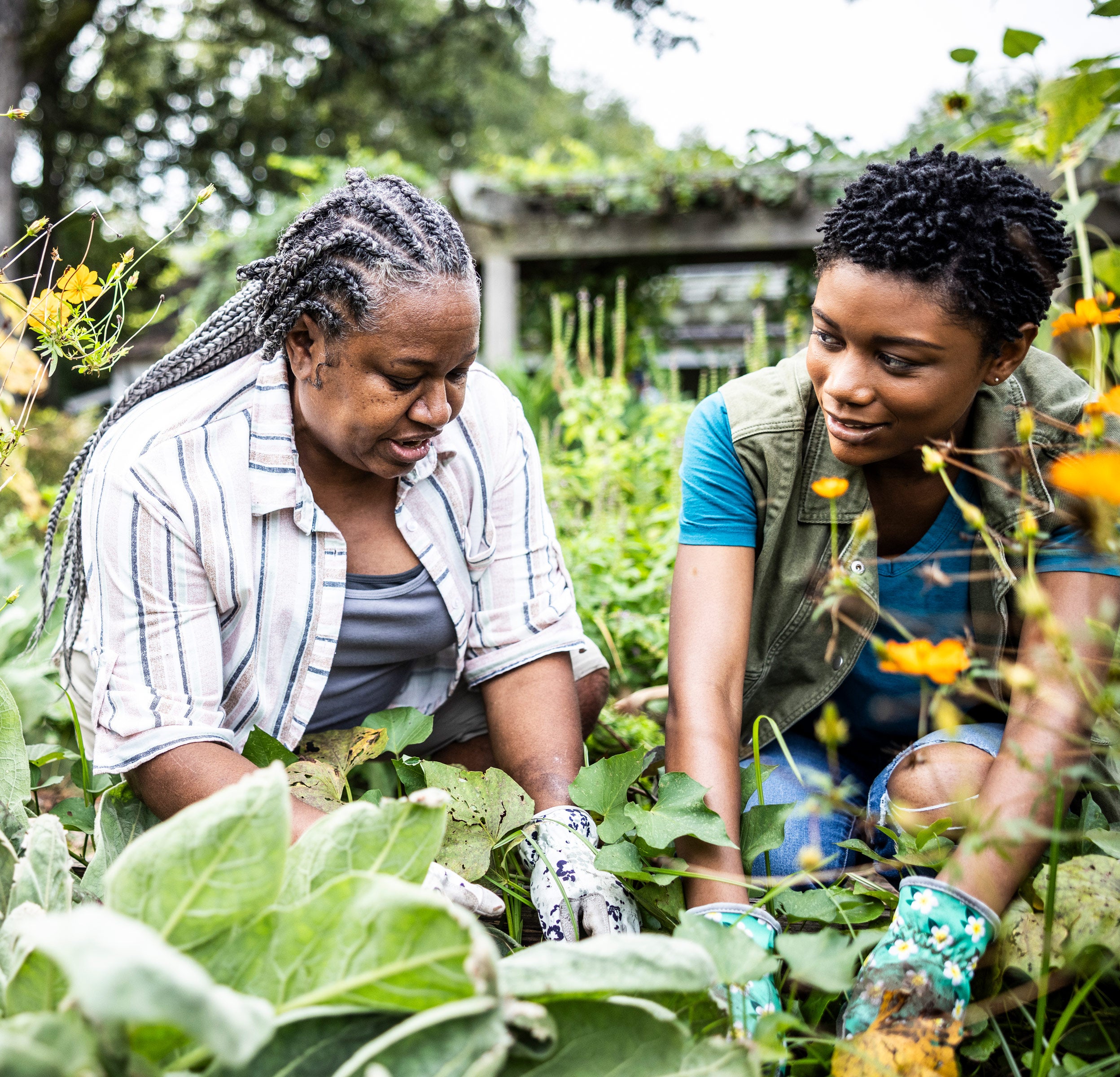 People harvesting together